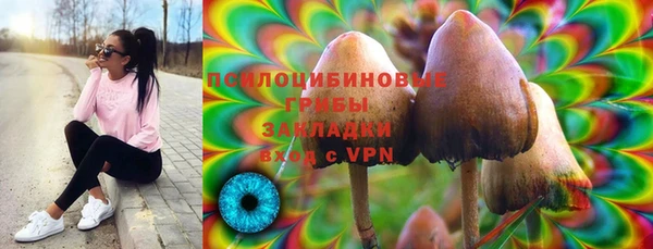 спиды Дмитровск