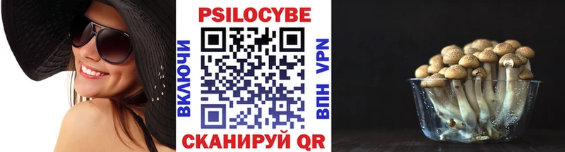 blacksprut онион  Менделеевск  Галлюциногенные грибы Cubensis 